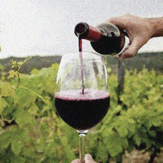 Foto de uma taça de vinho sendo servida entre os parreirais